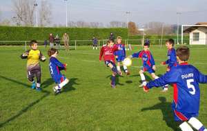 U11 à Marennes