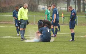 50bba28abfe29_P1010263.JPG