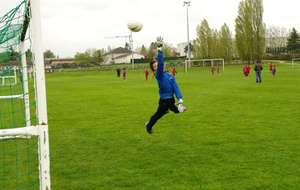 5174207266a1a_0000023742Anthon.2.jpg