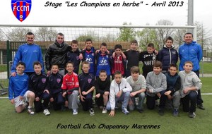 5176ee252ff49_13x18stagefoot2013FCCM003YS.jpg