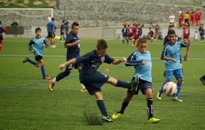 523a17746e00b_IMGP8471.JPG