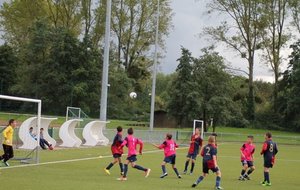 U13 Label
