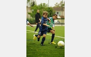 U11