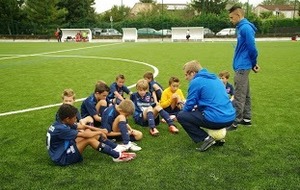 U11