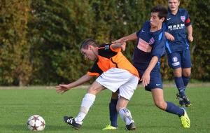 526c36625458f_f49dsc4151612x45975sasimvafek.jpg