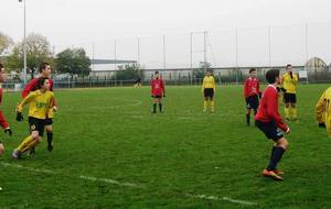 52895af9ccc33_IMG2430.JPG