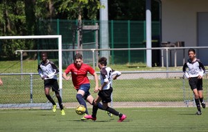 572ef5264192d_IMG99961280x853.jpg